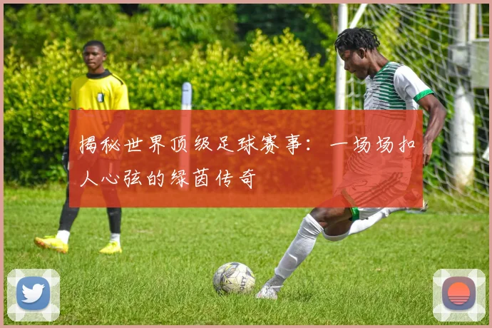 揭秘世界顶级足球赛事：一场场扣人心弦的绿茵传奇